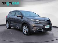 Usata Citroën C5 Aircross Business Class 131 CV (96 kW) 2024 Grigio platinum SUV