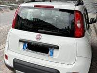 Usata Fiat Panda 4x4 Climbing 75 CV (55 kW) 2013 Bianco Utilitaria