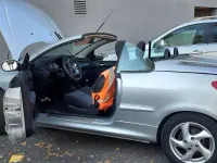 Usata Peugeot 206 CC 109 CV (80 kW) 2004 Argento Cabrio
