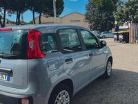 Usata Fiat Panda Easy 69 CV (50 kW) 2020 Grigio Utilitaria