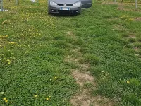 Usata VW Golf V 105 CV (77 kW) 2008 Grigio Station wagon