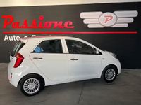 Usata Kia Picanto 67 CV (49 kW) 2015 Bianco Utilitaria