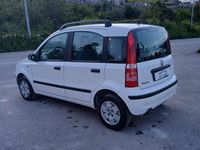 Usata Fiat Panda Dynamic 60 CV (44 kW) 2006 Bianco Utilitaria