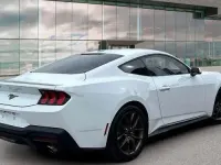 Usata Ford Mustang Fastback 318 CV (233 kW) 2024 Bianco pastello