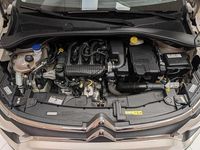 Usata Citroën C3 PureTech 83 CV (61 kW) 2023 Beige Utilitaria