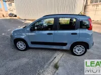 Usata Fiat Panda 69 CV (50 kW) 2020 Grigio Utilitaria