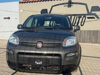 Usata Fiat Panda 69 CV (50 kW) 2022 Utilitaria