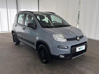 Usata Fiat Panda 4x4 Wild 86 CV (63 kW) 2021 Grigio Utilitaria