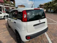 Usata Fiat Panda Young 80 CV (58 kW) 2014 Bianco Utilitaria