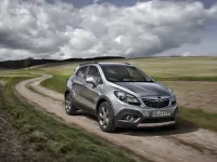 Usata Opel Mokka S 116 CV (85 kW) 2016 Grigio SUV