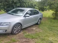 Usata Skoda Octavia Ambition 105 CV (77 kW) 2013 Grigio Berlina