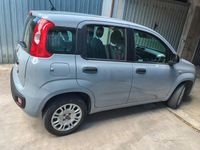 Usata Fiat Panda 69 CV (50 kW) 2018 Grigio Berlina