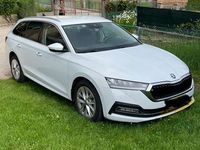 usata Skoda Octavia Wagon 2.0 tdi Style 150cv dsg