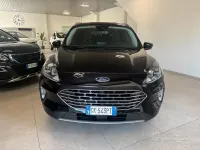 Usata Ford Kuga ST-Line X 120 CV (88 kW) 2023 Nero SUV