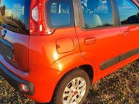 Usata Fiat Panda Easy 69 CV (50 kW) 2015 Rosso Utilitaria