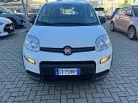 Usata Fiat Panda S 69 CV (50 kW) 2024 Bianco Utilitaria