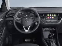 Usata Opel Grandland X S 131 CV (96 kW) 2020 Grigio SUV