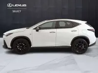 Usata Lexus NX350h Sport Line 190 CV (139 kW) 2024 Bianco SUV