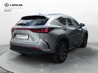 Usata Lexus NX350h Business Edition 243 CV (178 kW) 2023 Grigio SUV