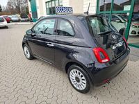 Usata Fiat 500 Lounge 69 CV (50 kW) 2020 Nero Utilitaria