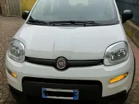 Usata Fiat Panda S 69 CV (50 kW) 2024 Utilitaria