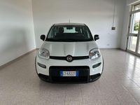 Usata Fiat Panda S 70 CV (51 kW) 2024 Bianco Utilitaria