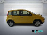 Usata Fiat Panda S 70 CV (51 kW) 2024 Giallo Utilitaria