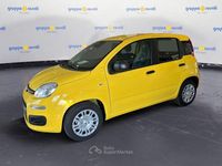 Nuova Fiat Panda Cross Cross 69 CV (50 kW) 2026 Giallo Utilitaria