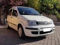 usata Fiat Panda 1.2 69cv Benzina