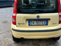Usata Fiat Panda 2009 Utilitaria