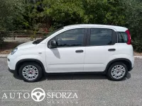 Usata Fiat Panda 69 CV (50 kW) 2023 Bianco Utilitaria