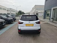Usata Ford Ecosport Active 125 CV (91 kW) 2022 Bianco SUV