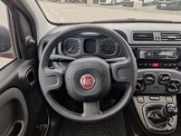 usata Fiat Panda Cross 1.0 FireFly S&S Hybrid City del 2022 usata a Pianezza