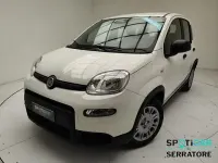 Usata Fiat Panda 69 CV (50 kW) 2024 Bianco Utilitaria