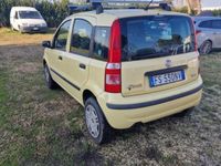Usata Fiat Panda Dynamic 60 CV (44 kW) 2008 Giallo Utilitaria