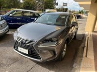 Usata Lexus NX300h Business Edition 155 CV (114 kW) 2019 Grigio SUV