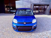 Nuova Fiat Panda Icon 2025 Blu Utilitaria