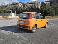Usata Fiat Panda Pop 69 CV (50 kW) 2020 Other Utilitaria