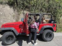 Usata Jeep Wrangler 177 CV (130 kW) 2001 Rosso SUV