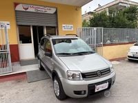 Usata Fiat Panda 4x4 Climbing 60 CV (44 kW) 2006 Grigio Utilitaria
