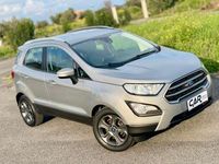 Usata Ford Ecosport ST-Line 95 CV (69 kW) 2020 Grigio SUV