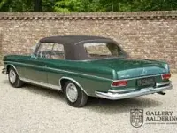 Usata Mercedes 220 SE 120 CV (88 kW) 1964 Verde Cabrio