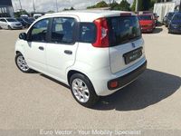 Usata Fiat Panda Launch Edition 69 CV (50 kW) 2020 Bianco Utilitaria