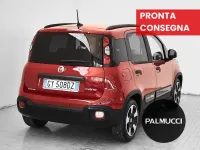 Usata Fiat Panda Cross Cross 70 CV (51 kW) 2025 Rosso Utilitaria