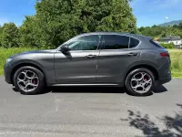 Usata Alfa Romeo Stelvio Executive 210 CV (154 kW) 2017 Grigio SUV