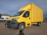 Usata Fiat Ducato 2020 Giallo Furgone