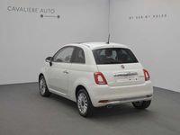 Usata Fiat 500 Dolcevita 69 CV (50 kW) 2024 Bianco Utilitaria