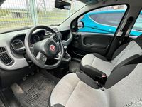 Usata Fiat Panda 69 CV (50 kW) 2019 Grigio Berlina