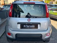 Usata Fiat Panda 4x4 Trekking 75 CV (55 kW) 2015 Grigio Utilitaria