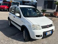 Usata Fiat Panda 4x4 2008 Utilitaria